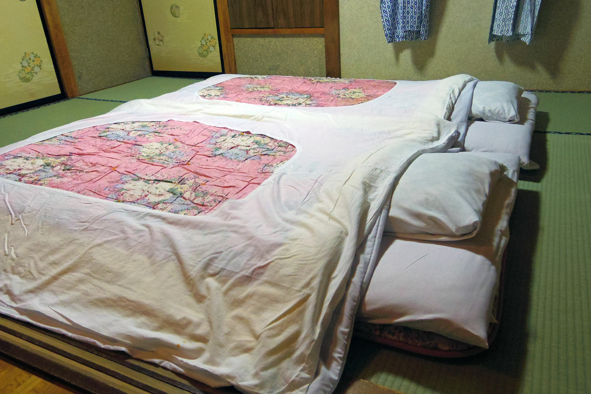 Zero-Project Japan Guesthouse Yamanakako Luaran gambar